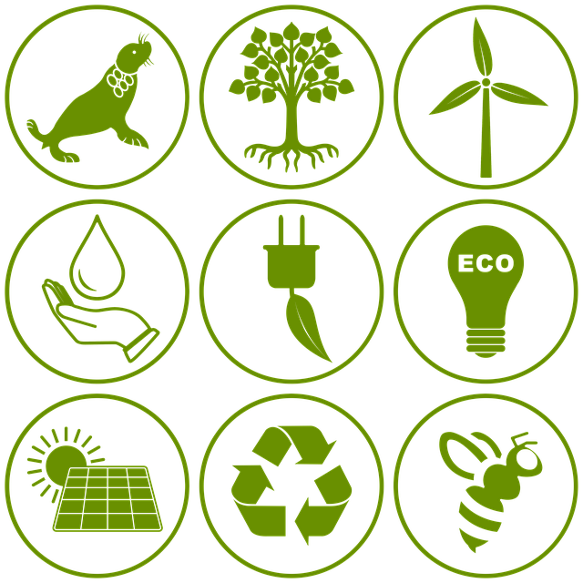 Environmental Compliance Documents