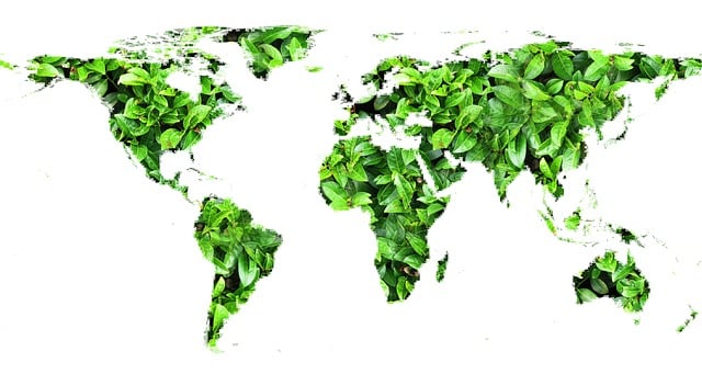 Environmental Compliance Documents