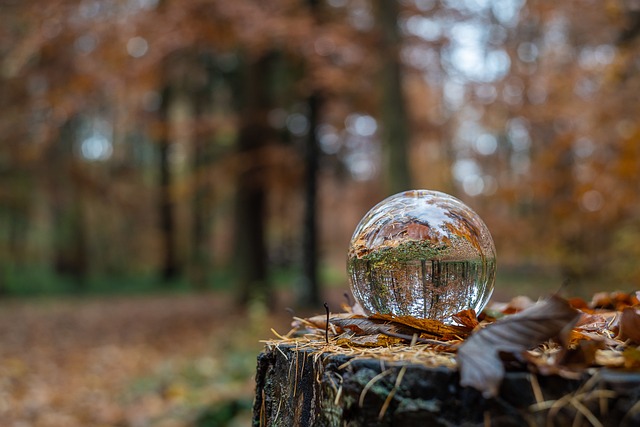 Environmental Impact Assessments