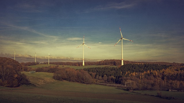 Environmental Impact Assessments