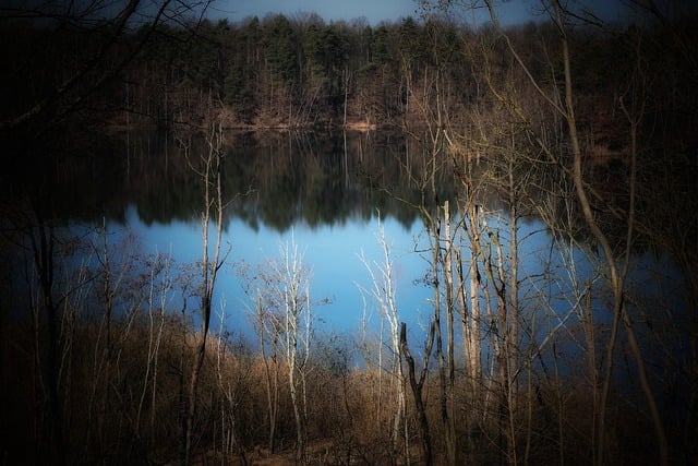 Environmental Impact Assessments