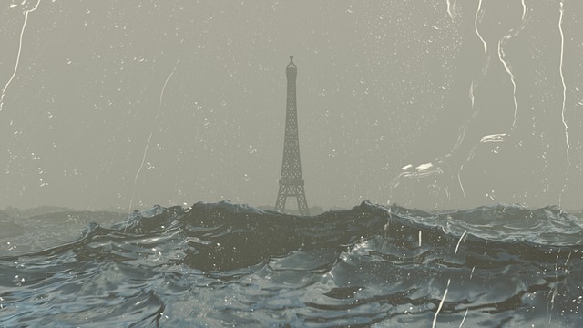 Environmental Impact Assessments