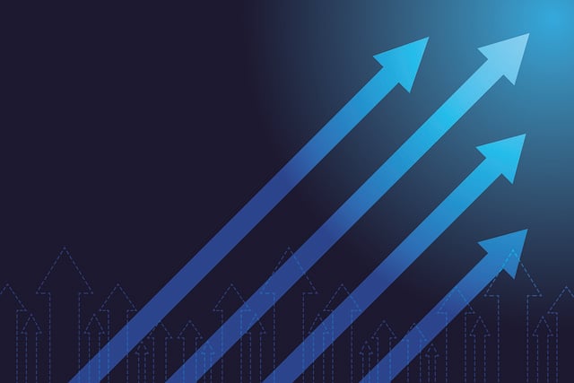 Financial Audit Reports