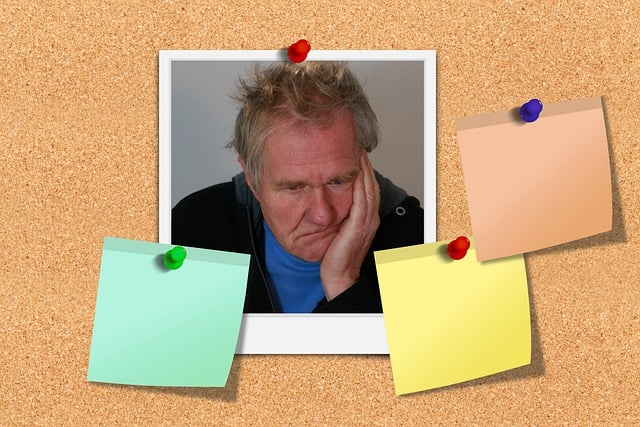 Financial Newsletters and Bulletins