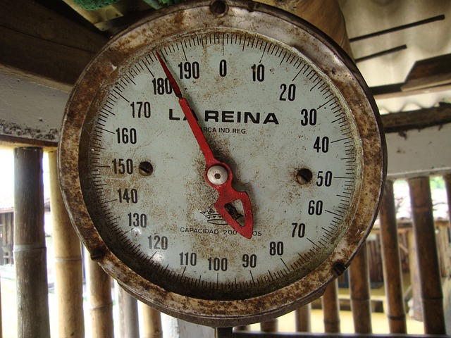 Machine Specifications and Descriptions