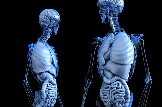 Medical Marketing Materials
