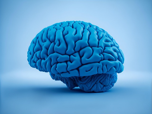 Medical Marketing Materials