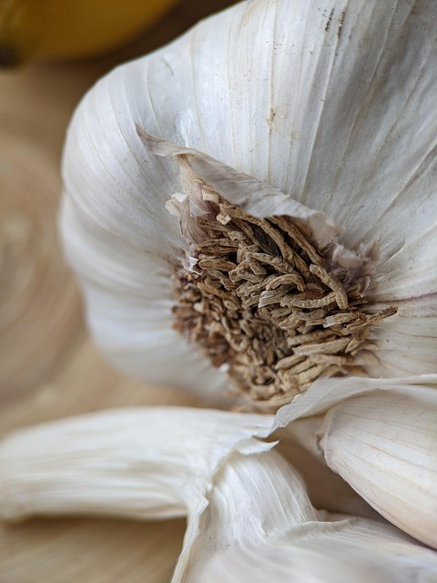 Physician’s Treatment Plans