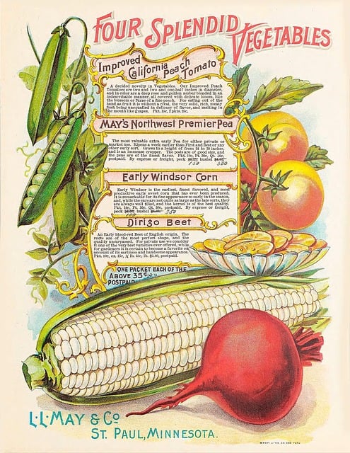 Product Catalogs