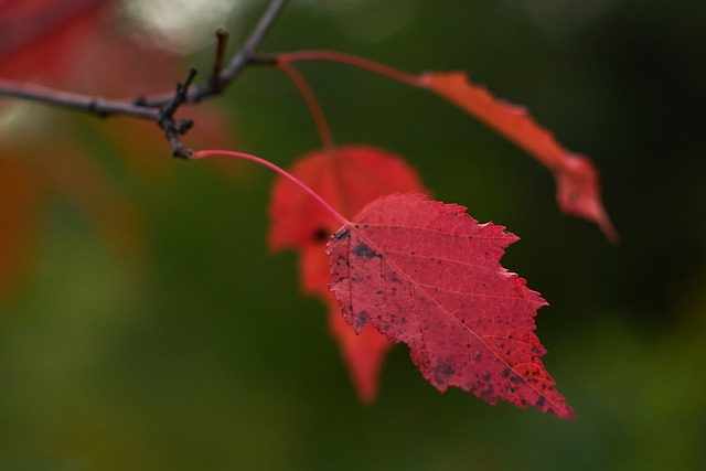 Product Information Leaflets