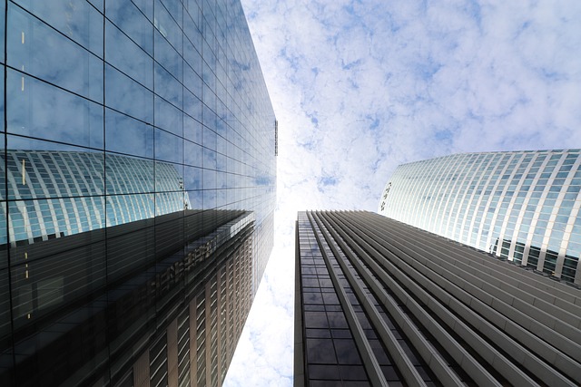 Real Estate Appraisals and Financial Documents