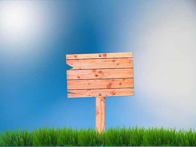 Sales Proposals and Presentations