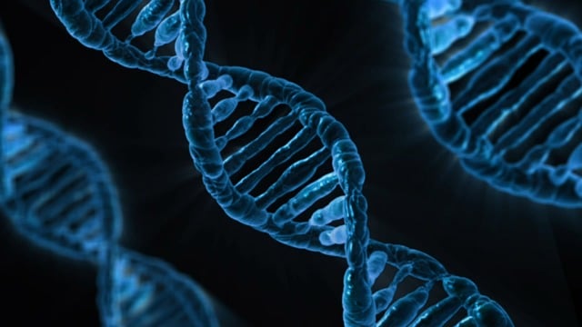 Scientific Conference Abstracts