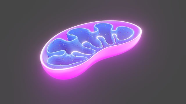 Grant Proposals for Scientific Research