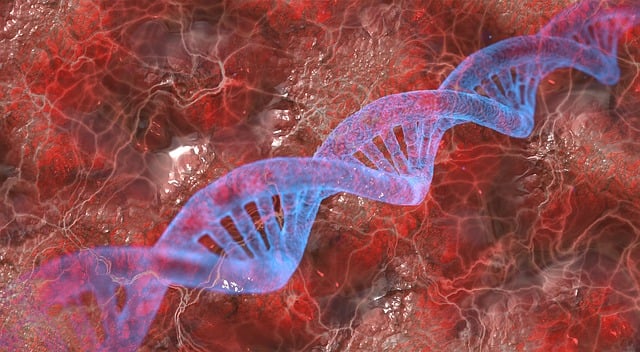 Grant Proposals for Scientific Research