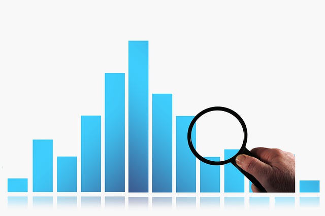 Investment Fund Reports