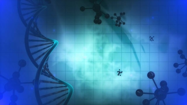 Laboratory Reports