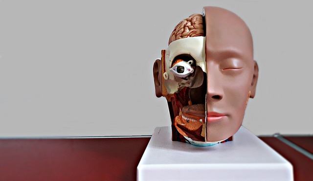 Medical Licensing Examination Materials