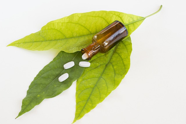 Pharmaceutical Manufacturing Guidelines