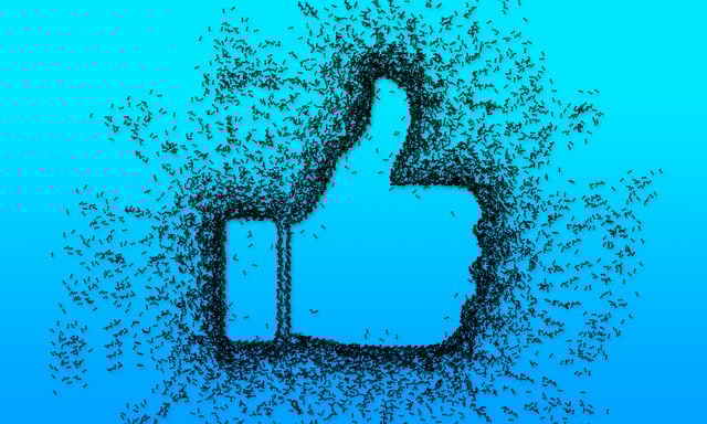 Regulatory Documents for Drug Approval