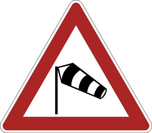 Regulatory Documents for Drug Approval