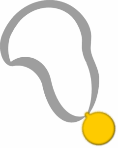academic-awards-and-honors-640x480-74217550.png