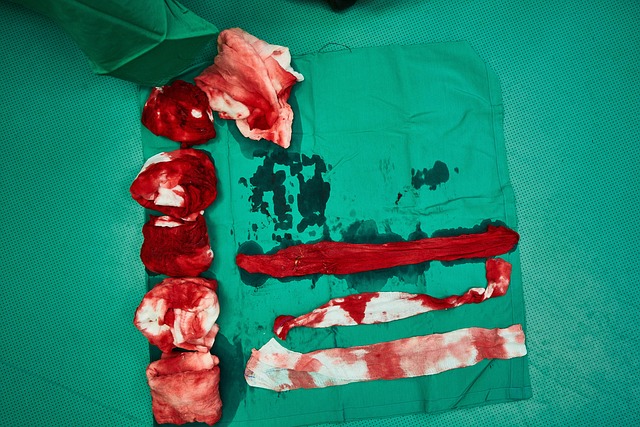 Clinical Protocols