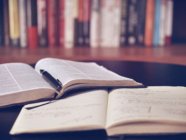 Clinical Study Reports