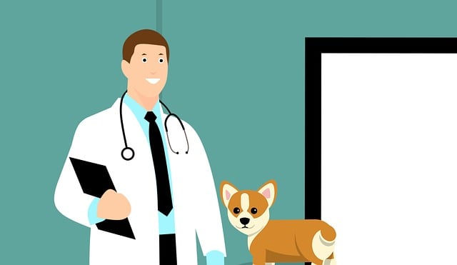 Clinical Study Reports