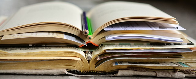Clinical Study Reports