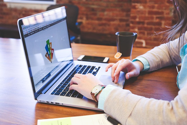 Corporate Bylaws and Articles of Incorporation