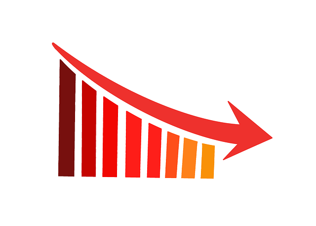 Due Diligence Reports