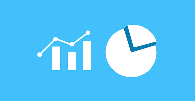 Due Diligence Reports