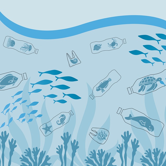 Environmental and Social Responsibility Reports