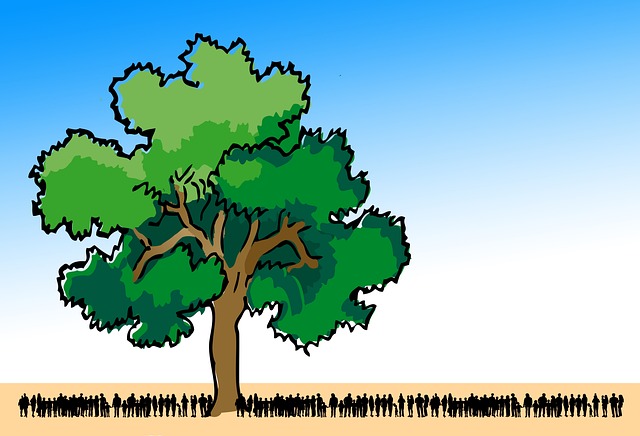 Environmental and Social Responsibility Reports