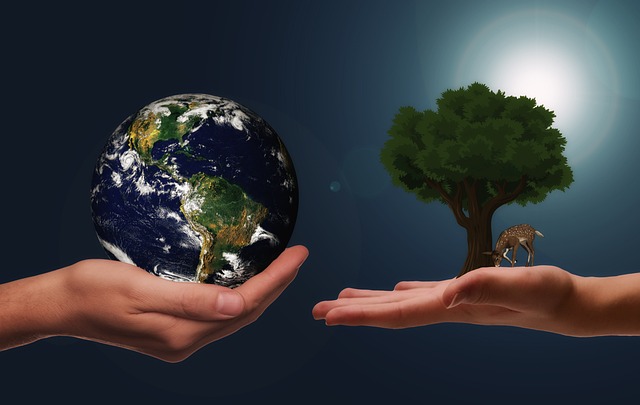 Environmental and Social Responsibility Reports