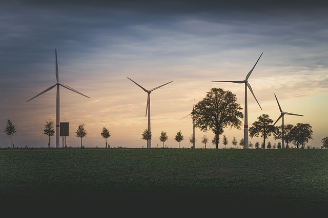 Environmental and Social Responsibility Reports