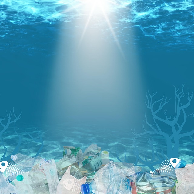 Environmental and Social Responsibility Reports