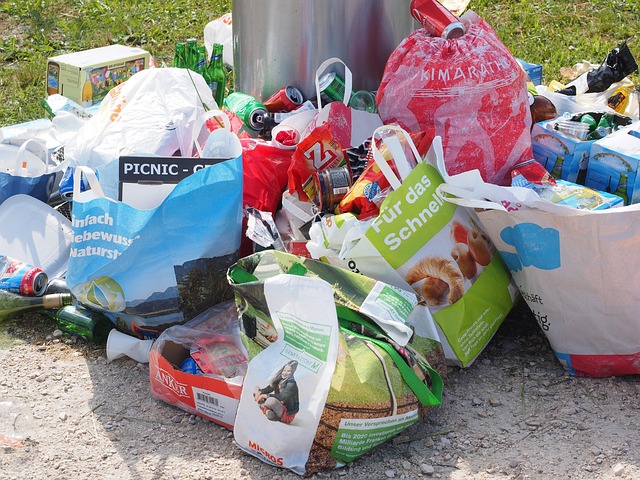 Environmental and Social Responsibility Reports