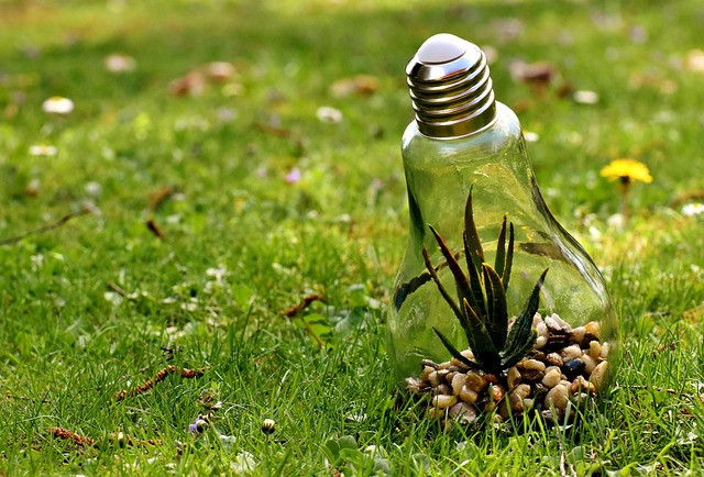 Environmental and Social Responsibility Reports