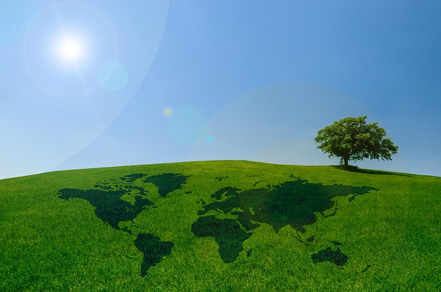 Environmental and Social Responsibility Reports