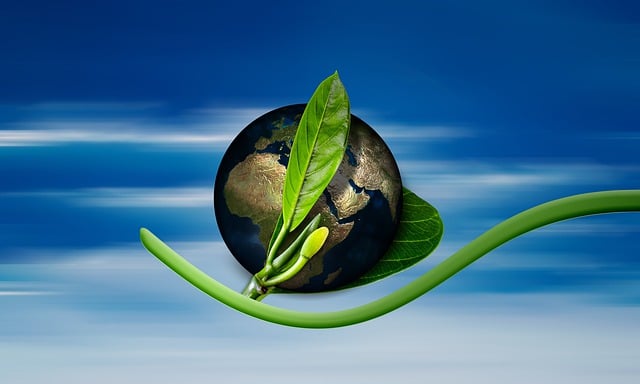 Environmental and Social Responsibility Reports