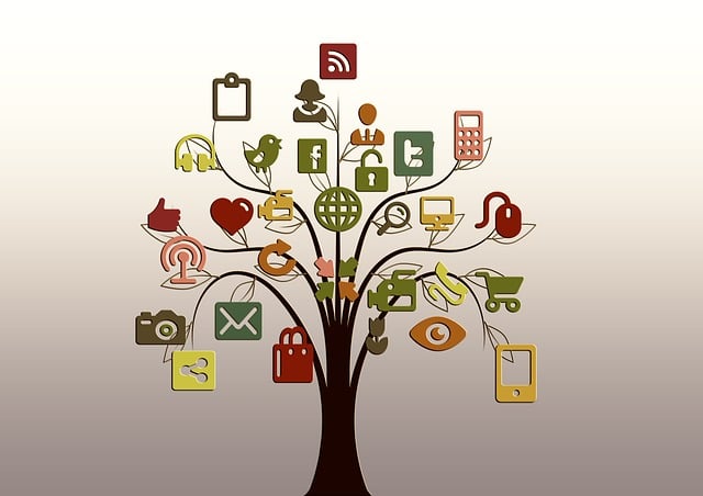 Environmental and Social Responsibility Reports
