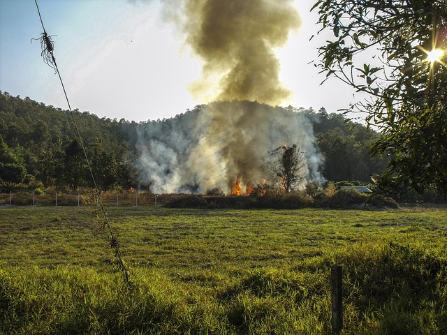 environmental-compliance-documents-640x480-43459978.jpeg