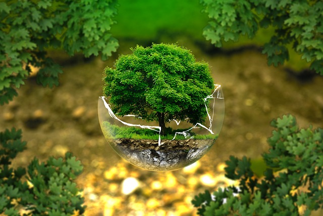 Environmental Compliance Documents
