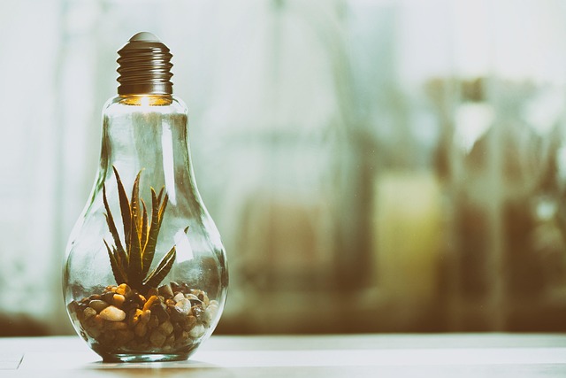 Environmental Compliance Documents