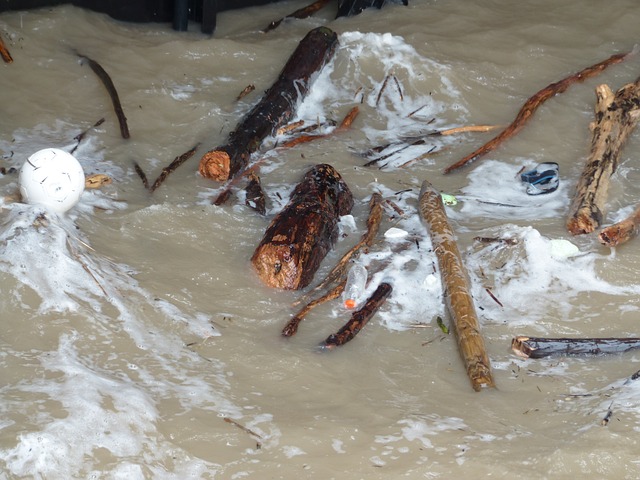 Environmental Compliance Documents