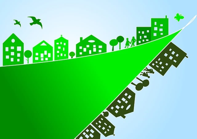 Environmental Impact Assessments