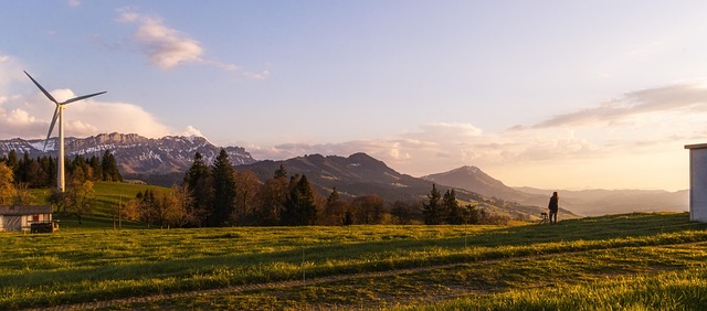 Environmental Impact Assessments
