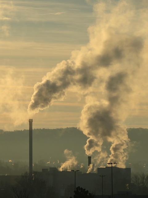 Environmental Impact Assessments